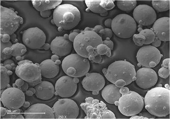  Partículas
de titanio no modificadas, pero si filtradas con filtros de membrana de nylon.