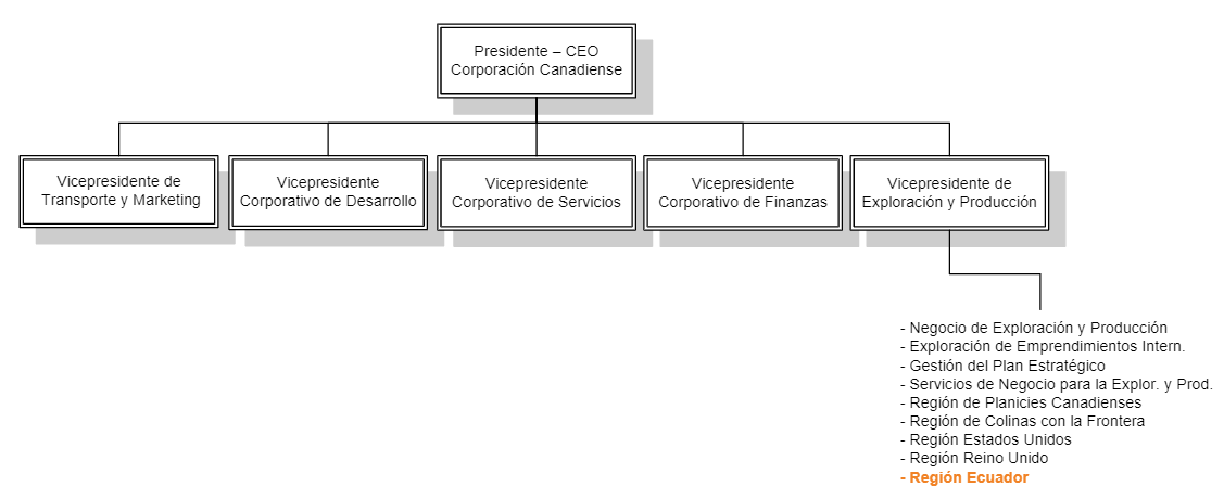 Estructura Organizacional Corporación X
antes de la adquisición