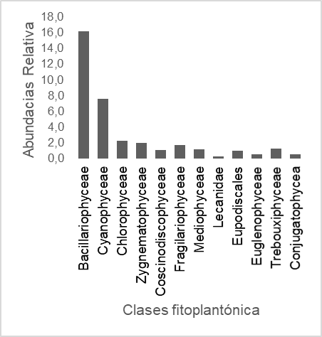 Abundancias de las clases fitoplanctónicas encontradas en los ríos Sanka Yaku, Ñachi Yaku, Yana Oglán 1 y Yana Oglán 2.