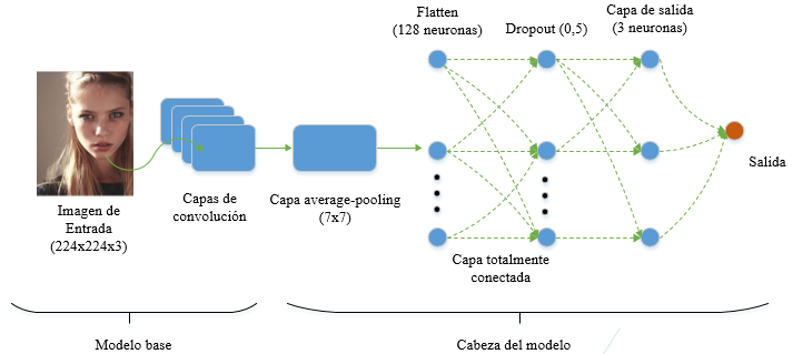 Representación de la red neuronal convolucional utilizada en el modelo.