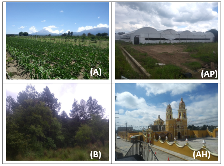 Usos de suelo y vegetación del municipio de
Chiautzingo, Puebla.
