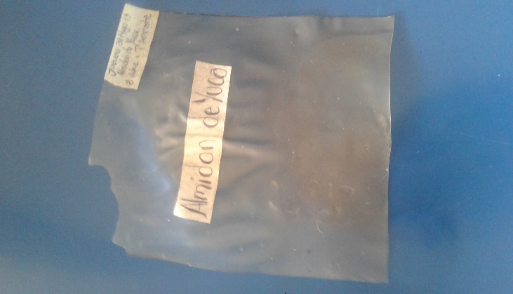 Biopelícula de almidón termoplástico de yuca (Manihot esculenta Crantz).