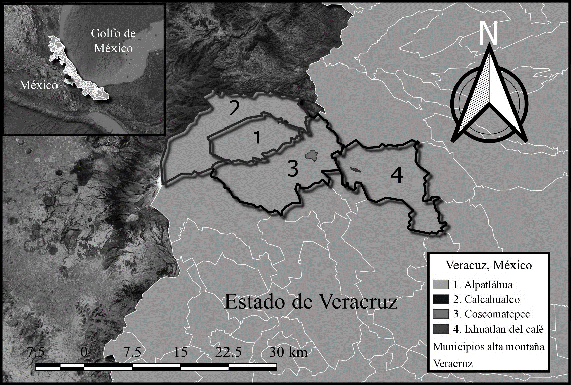 Ubicación de los
municipios productores de aguacate en la región de alta montañas de Veracruz