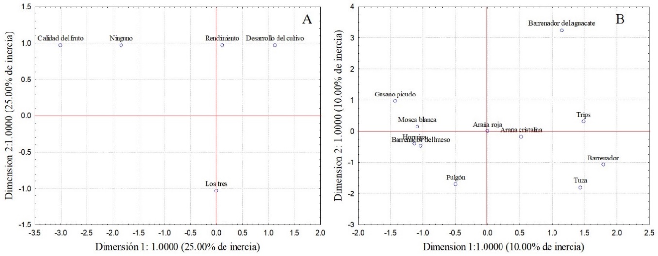 Efectos de la baja fertilidad en el cultivo
(A) y presencia de plagas en cultivo de aguacate B)