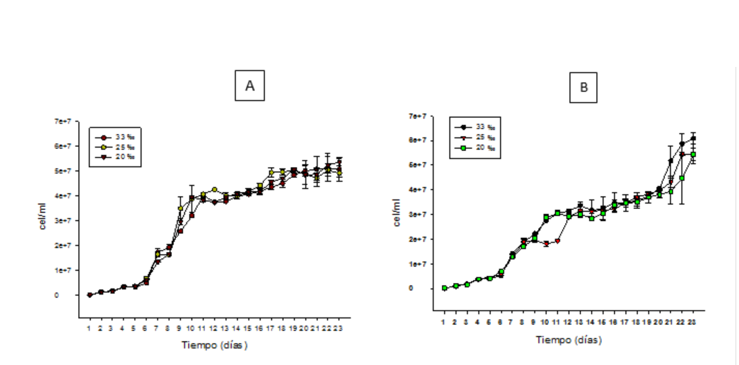  Ritmo de reproducción de Nannochloropsis oculta cultivada en diferentes contracciones salinas (33% , 25 %, 20 %, 15 %, 10 %, 5 %) Periodo de 23 dias A: 0.32 %,F/2 Guillar, B>1 F/2 Guillard.