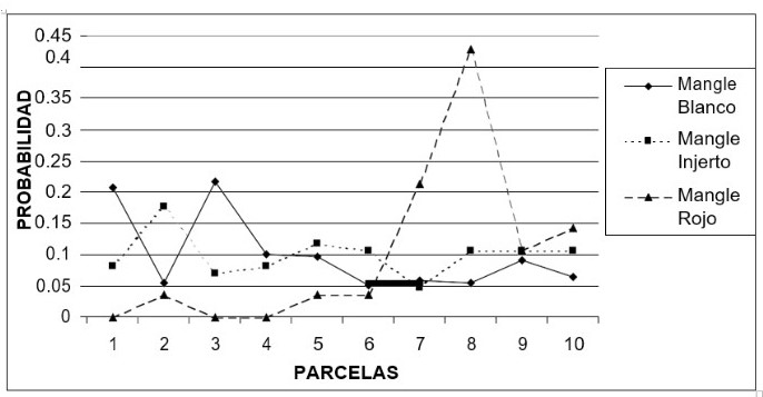 Distribución de la probabilidad de encontrar cada una de las tres
morfoespecies de mangle en las parcelas de los transeptos

 