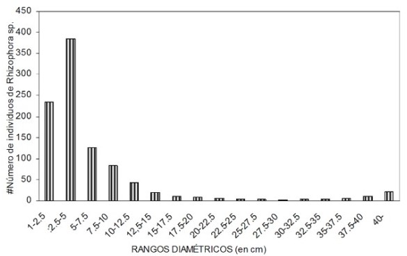 Distribución del número de
individuos de Rhizophora spp. para distintas categorías diamétricas.

 