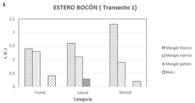 Análisis por Categoría para las especies más
importantes del transecto en el Estero Bocón.