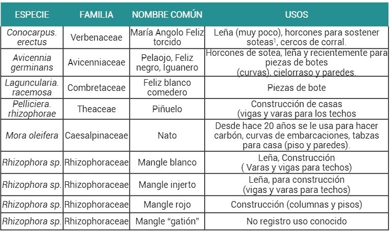 Clasificación etnobotánica de las especies maderables de mangle
utilizados por las comunidades de Virudó y Cuevita.