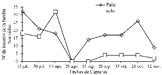 Distribución temporal de familias Noctuidae en el cultivo de pitahaya 