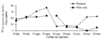 Distribución temporal de familias Chrysopidae en el cultivo de pitahaya.