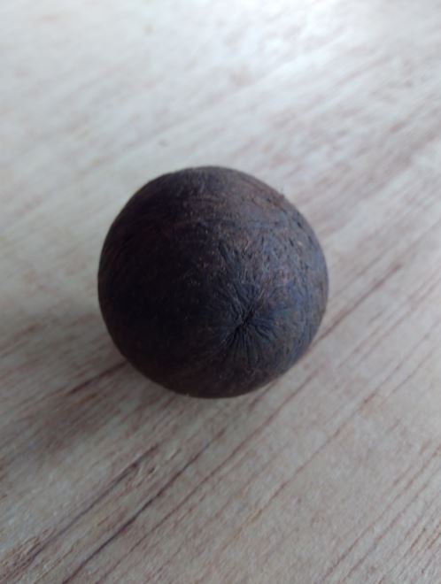  caroço
     de tucumã usado como analogia de uma esfera