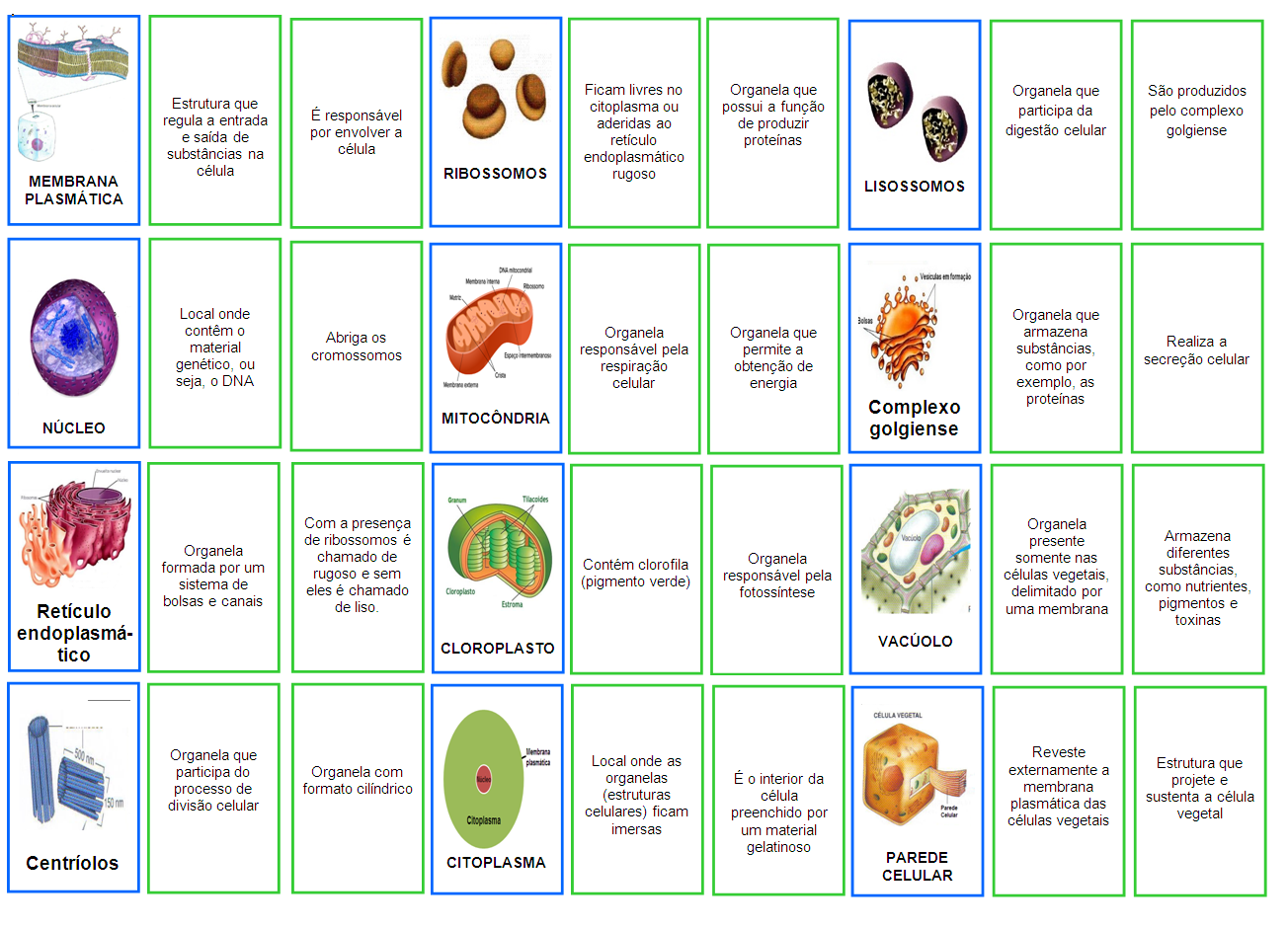 Jogos didáticos no ensino de biologia