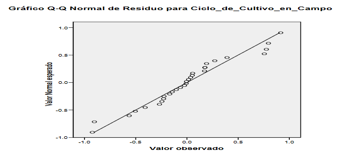 Gráfico Q-Q normal de residuo para ciclo de cultivo en campo (SPSS 21)