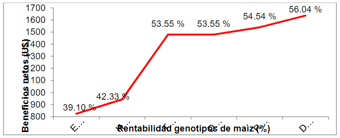  Beneficios netos y rentabilidad de genotipos de maíz estudiados en La Troncal - Ecuador