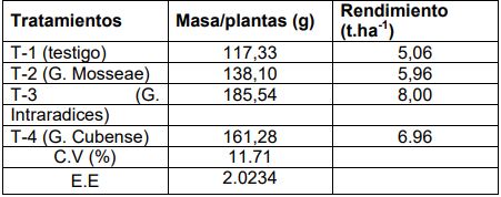 Efecto sobre la masa por plantas (g) y rendimiento de la lechuga en (t.ha-1)