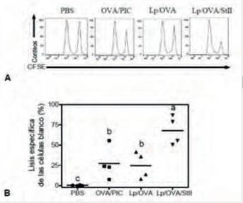  Inducción de una respuesta de CTL específica al
Ag OVA por la formulación liposomal
que co-encapsula OVA y StII. Ratones C57BL/6 se inmunizaron por vía s.c. los días 0 y
12 con Lp/OVA/StII o Lp/OVA. 
