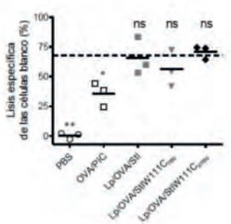 Estimulación de una respuesta de CTLs específica a OVA por liposomas que co-encapsulan el dímero inactivo irreversiblemente StI W111C irrevy el Ag. 