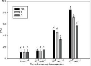 Influencia de diferentes concentraciones de la 24-epibrasinólida (EBL) y los análogos A (MH-5) y B
(BB-6) en la sobrevivencia de plántulas de tomate (cv. Amalia) sometidas al choque de 45 °C durante 4 h . 