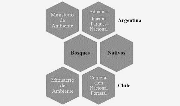 Gestión y
superposición de organismos públicos vinculados con la protección de los
bosques y los servicios ecosistémicos – Argentina y Chile 

 