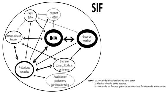 Salto's sis participants and their level of interaction