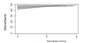 Accumulation Curve of Species. On the
X-axis, we showed the sampling effort made (Three units effort). The Y-axis
represented the number of species found for each level-sampled