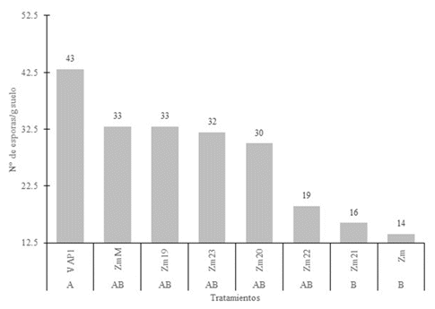 Número de
esporas de consorcios de HMA/g de suelo propagado en P. sativum + L. multiflorum