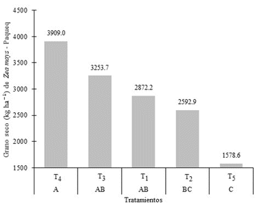 Peso de grano
seco kg ha-1 de Z. mays  

micorrizados y sin
micorrizar, Paquecc