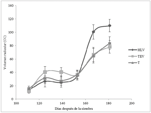 Volumen radicular
(VR) desde los 111 hasta los 181 días