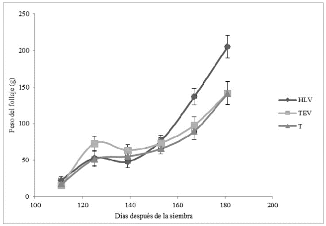  Peso del follaje
(PF) desde los 111 hasta los 181 días