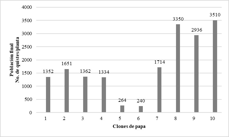 Valores promedio del N° de quistes/planta
de Globodera pallida como respuesta
nematológica de diez clones de Solanum tuberosum