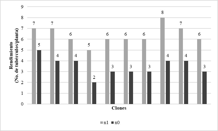 Valores promedio del rendimiento (N° de
tubérculos/planta) de los clones de Solanum
tuberosum inoculados y no inoculados con Globodera pallida