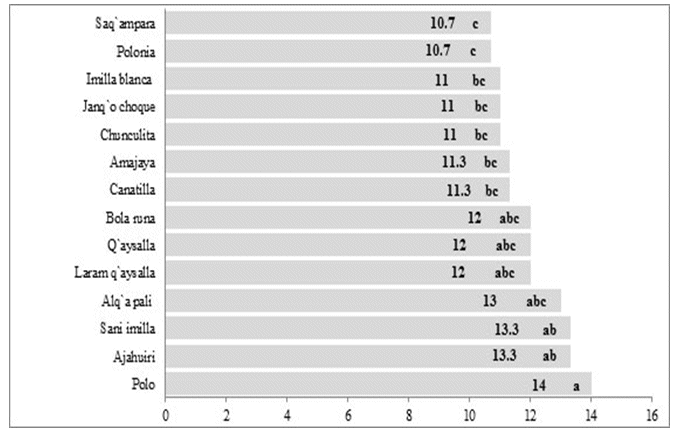 Análisis de comparación de
medias mediante la prueba de Duncan (a=0.05) para la variable  

número
de flores     para las accesiones de papa nativa