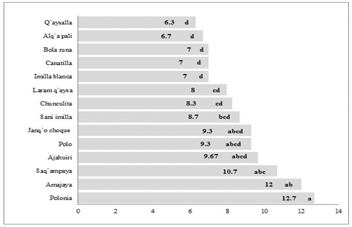 Análisis
de comparación mediante la  

prueba
de Duncan (a=0.05) número de ramas para diferentes accesiones
de papa nativa