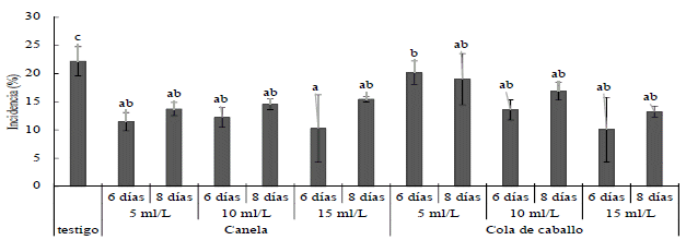 Porcentaje de incidencia de B. cinerea en flores de fresa a los 20
días después de primera aplicación de
extracto de canela o cola de caballo a diferentes dosis y frecuencia