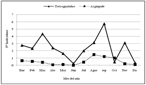 Fluctuación poblacional de arañas de las familias Tetragnatidea y Argiopidea
empleando malla  

entomológica
en Calabozo estado Guárico. Años 2000 a 2003