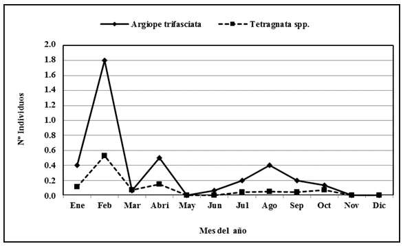 Fluctuación poblacional de arañas de la familia Tetragnatidea y
Argiopidea por 

0.5 metro cuadrado en Calabozo estado Guárico