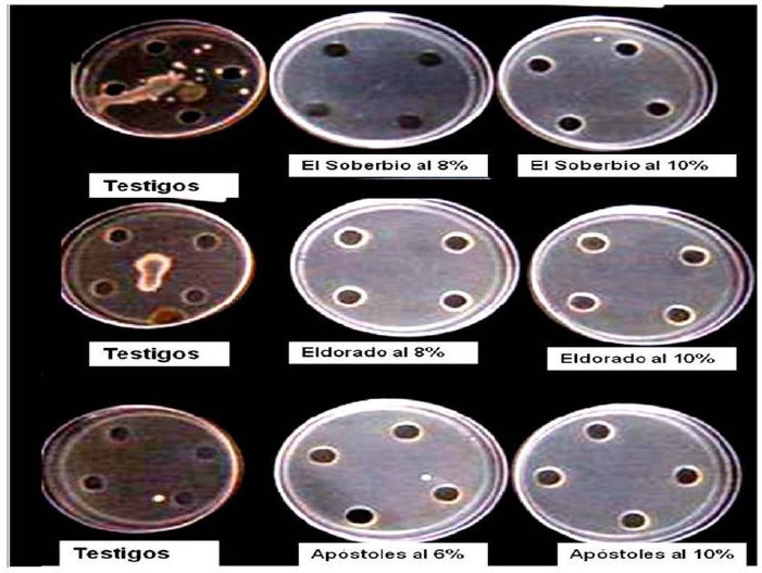 Actividad
antimicrobiana y bactericida sobre bacterias fitopatógenas de soluciones de
propóleos aplicadas con la técnica de microdifusión en placa de agar