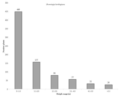 Population structure of Browningia hertlingiana according to altitude range in San
Cristobal Hill,  

Compañía community, Pacaycasa district. Ayacucho
2013