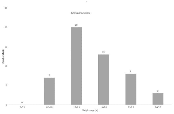 Population structure of Echinopsis peruviana according to altitude range on San Cristobal
hill, community of Compañía, district of Pacaycasa. Ayacucho
2013