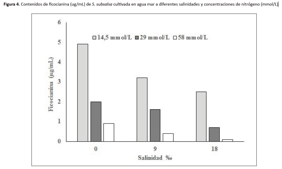 Figura 4. Contenidos de ficocianina (ug/mL) de S. subsalsa cultivada en agua mar a diferentes salinidades y concentraciones de nitrógeno (mmol/L)