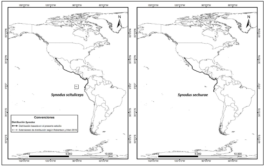 Figura 4: Distribución de las especies Synodus scituliceps y S. sechurae en el Pacífico oriental. Fuente: Elaboración propia.