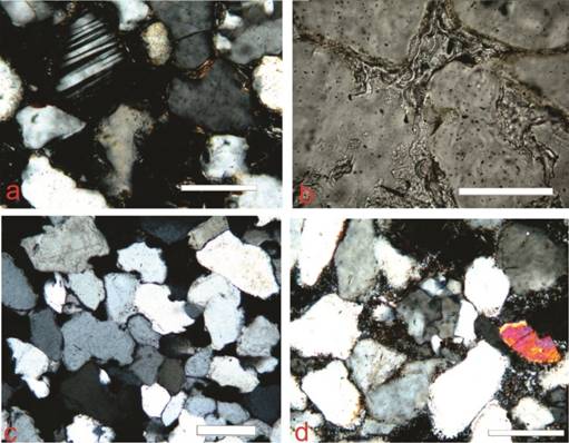 Microfotografías del material lítico (escala= 200 µm)