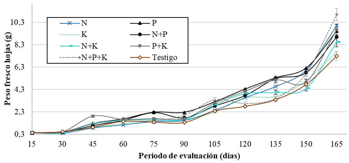 Peso Fresco de las Hojas en función
del período de evaluación (días). T1 (N: Urea), T2(P2O5: DAP), T3 (K2O:
KCl, T4 (N + P2O5: Urea + DAP), T5 (N + K2O: Urea
+ KCl), T6 (P2O5 + K2O:
DAP + KCl), T7(N+ P2O5 + K2O:
Urea+ DAP + KCl) y T8
(Testigo sin aplicación).