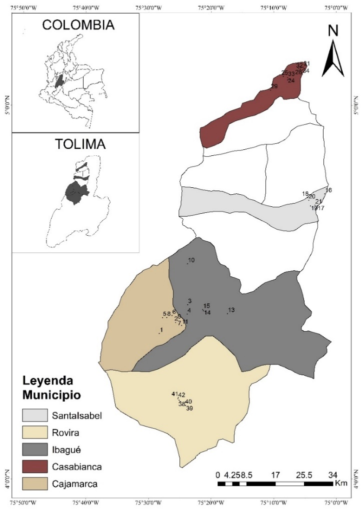 Ubicación geoespacial
de las fincas productoras de gulupa encuestadas y enumeradas en los municipios
de mayor área del cultivo en el departamento de Tolima.