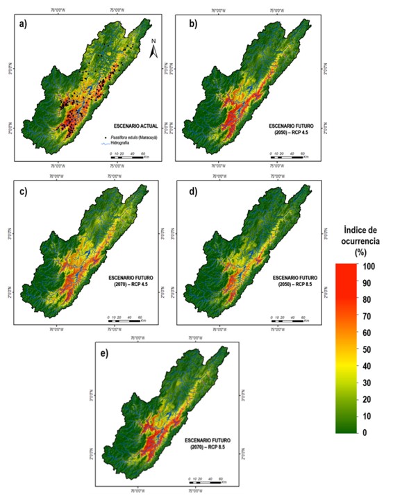 Áreas de distribución del cultivo de
maracuyá en la cuenca alta del río Magdalena para el periodo actual (1970 a
2000) y dos períodos futuros (2050 y 2070) contemplando escenarios diferentes
de RCP (4.5 y 8.5).