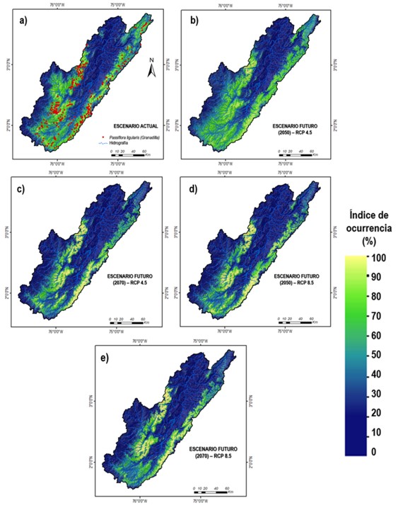 Áreas de distribución
del cultivo de granadilla en la cuenca alta del río Magdalena para el periodo
actual (1970 a 2000) y dos períodos futuros (2050 y 2070), teniendo en cuenta
escenarios diferentes de RCP (4.5 y 8.5). 