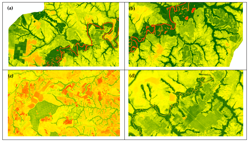 Zoom in NDVI layer stack images
from the Bita river basin with forest plantations and
monocrops (2017): (a) East area of the basin; (b) Middle part of the basin; (c)
West area of the basin; (d) South area of the basin. Despite the intense green colour of forest plantations, which could be confused with
natural forest, they can be easily distinguished by the plot edges.
