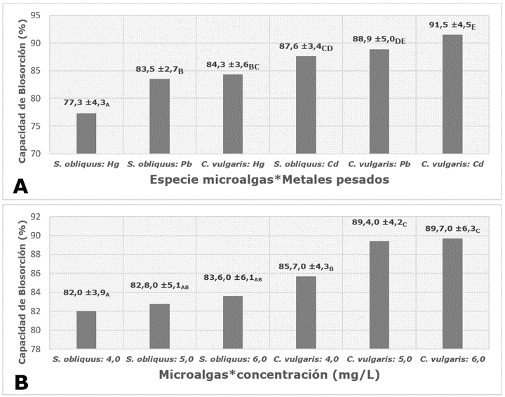 Resultados de la capacidad de biosorción de
metales pesados por Chlorella vulgaris y Scenedesmus obliquus. A: biosorción entre
las especies de microalgas y los metales pesados. B: entre las especies
de microalgas y las concentraciones de los metales pesados.