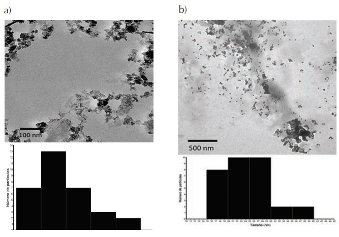 Micrografías TEM de FeNPs (a) y FeNPs-S. mammosum L. (b)